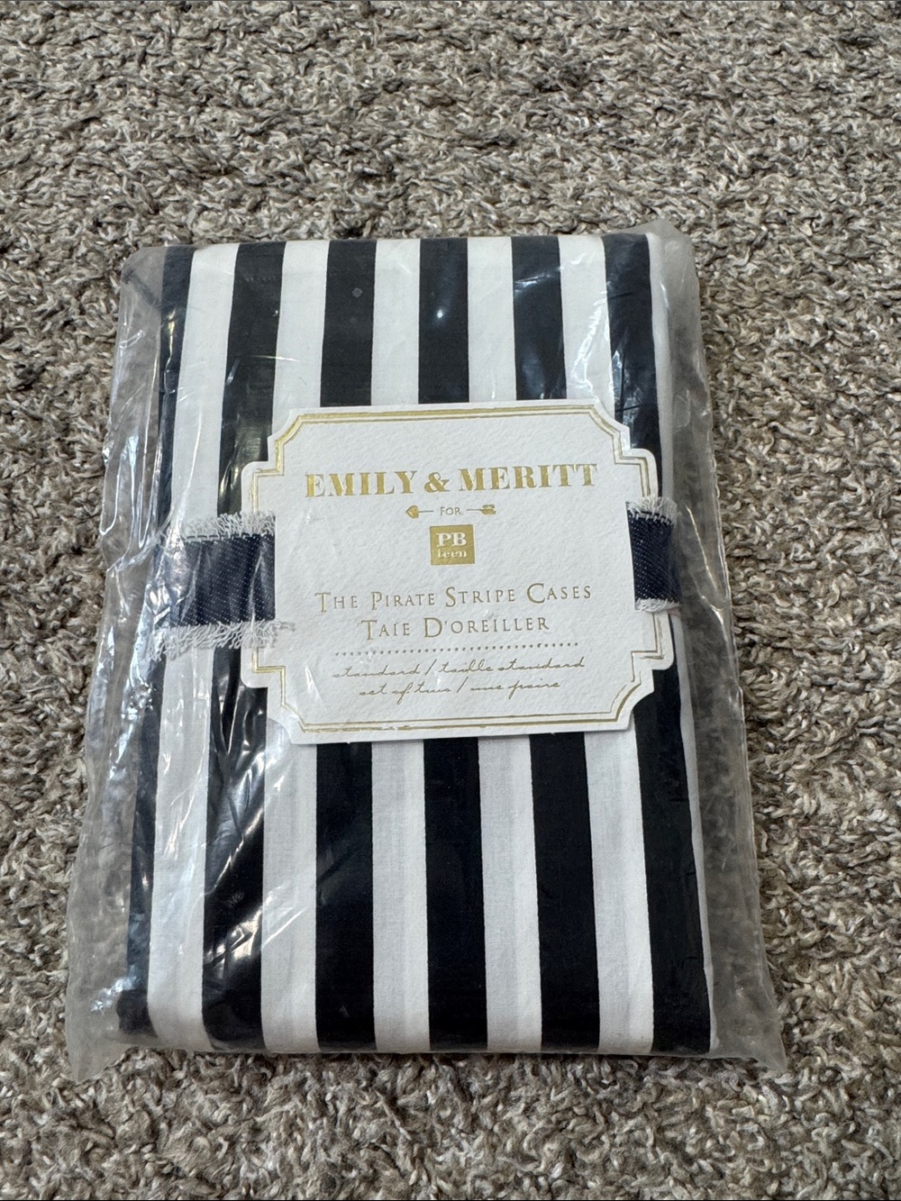 Pottery Barn Teen Emily & Meritt Pirate Stripe Case set NEW